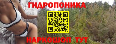 экстази Берёзовский