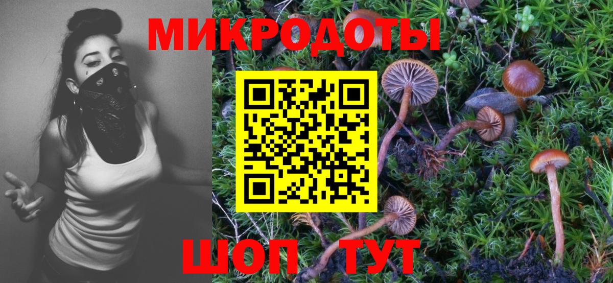Богданович  Псилоцибиновые грибы GOLDEN TEACHER  Вход с VPN 