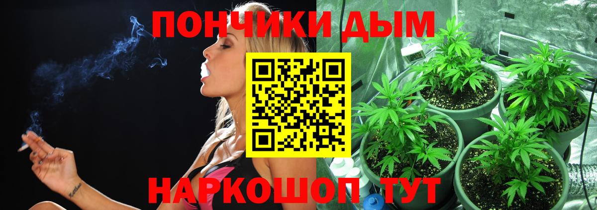 Каннабис гибрид  Бошки Шишки MAZAR  Богданович  Канабис ГИДРОПОН  Вход с VPN 